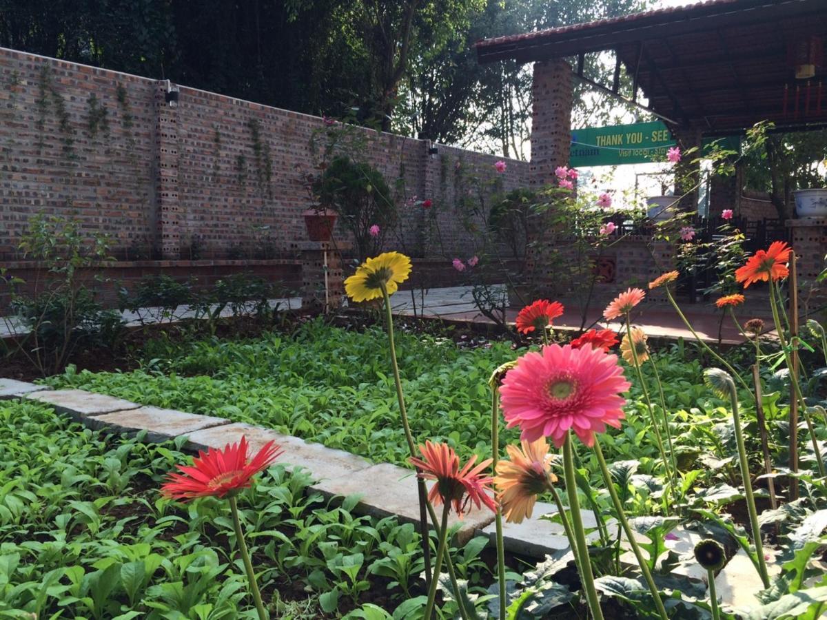 Tam Coc Craft Homestay Ninh Binh Room photo
